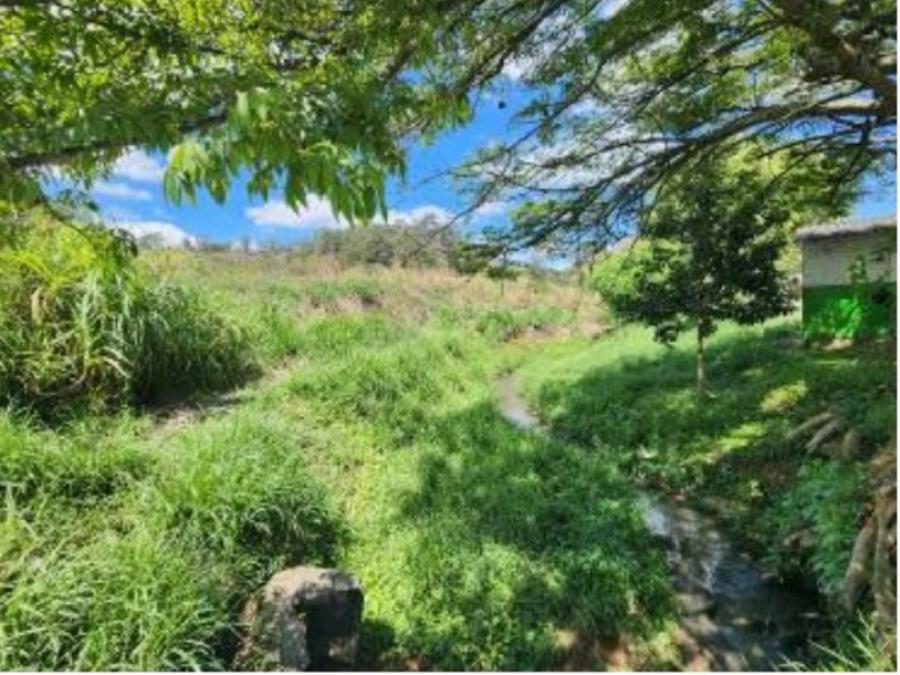 LOTE 2 - TERRENO 19.944M² - VILA ROSINA (CAIEIRAS) LOTE 2 - TERRENO 19.944M² - VILA ROSINA (CAIEIRAS), localizado em São Paulo - SP