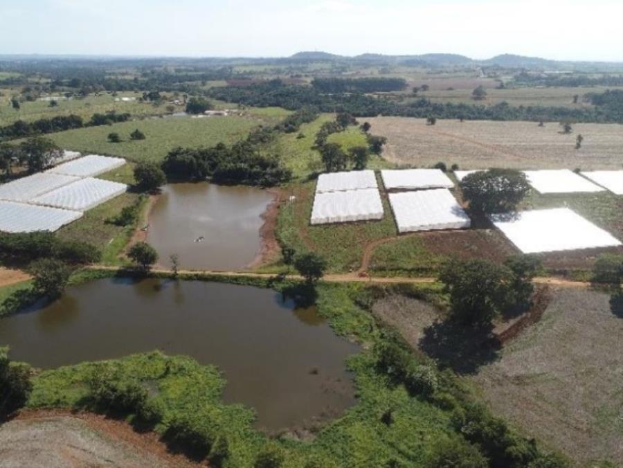 ÁREA RURAL 34,72 ALQUEIRES "FAZENDA EMOÇÃO" BAIRRO DOS LOPES - PORANGABA/SP ÁREA RURAL 34,72 ALQUEIRES "FAZENDA EMOÇÃO" BAIRRO DOS LOPES - PORANGABA/SP, localizado em Porangaba - SP, bairro Bairro dos Lopes