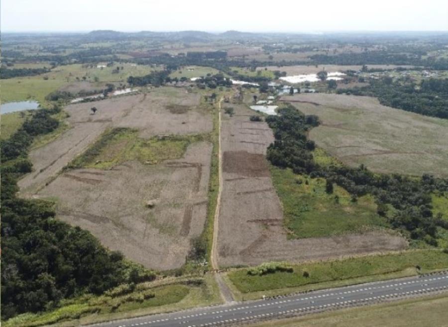 ÁREA RURAL 34,72 ALQUEIRES "FAZENDA EMOÇÃO" BAIRRO DOS LOPES - PORANGABA/SP ÁREA RURAL 34,72 ALQUEIRES "FAZENDA EMOÇÃO" BAIRRO DOS LOPES - PORANGABA/SP, localizado em Porangaba - SP, bairro Bairro dos Lopes