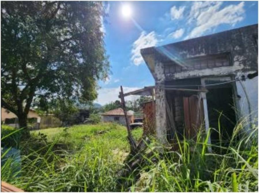 LOTE 1 - TERRENO DE ESQUINA 25X50 = 1.250M² - VILA CLARICE (JARAGUÁ) LOTE 1 - TERRENO DE ESQUINA 25X50 = 1.250M² - VILA CLARICE (JARAGUÁ), localizado em São Paulo - SP