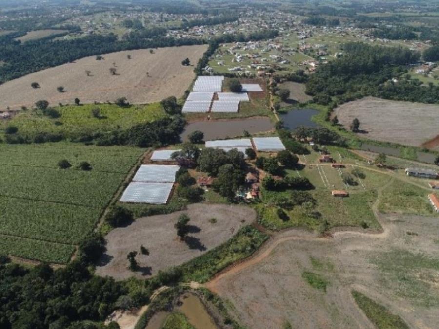 Imagem do imóvel ÁREA RURAL 34,72 ALQUEIRES "FAZENDA EMOÇÃO" BAIRRO DOS LOPES - PORANGABA/SP ÁREA RURAL 34,72 ALQUEIRES "FAZENDA EMOÇÃO" BAIRRO DOS LOPES - PORANGABA/SP