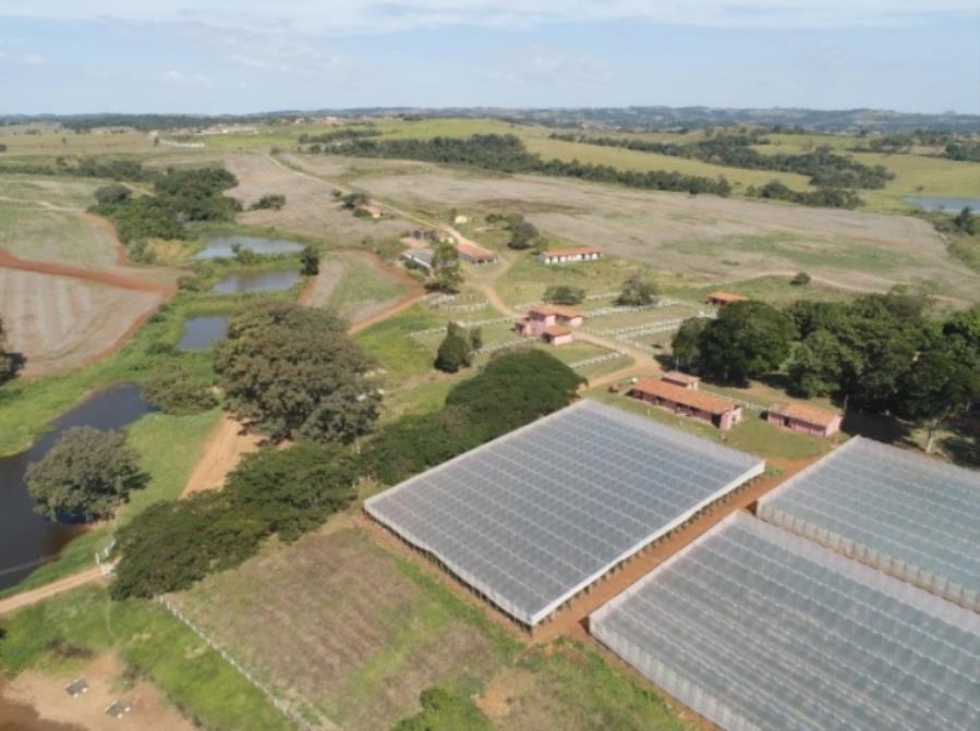 ÁREA RURAL 34,72 ALQUEIRES "FAZENDA EMOÇÃO" BAIRRO DOS LOPES - PORANGABA/SP ÁREA RURAL 34,72 ALQUEIRES "FAZENDA EMOÇÃO" BAIRRO DOS LOPES - PORANGABA/SP, localizado em Porangaba - SP, bairro Bairro dos Lopes